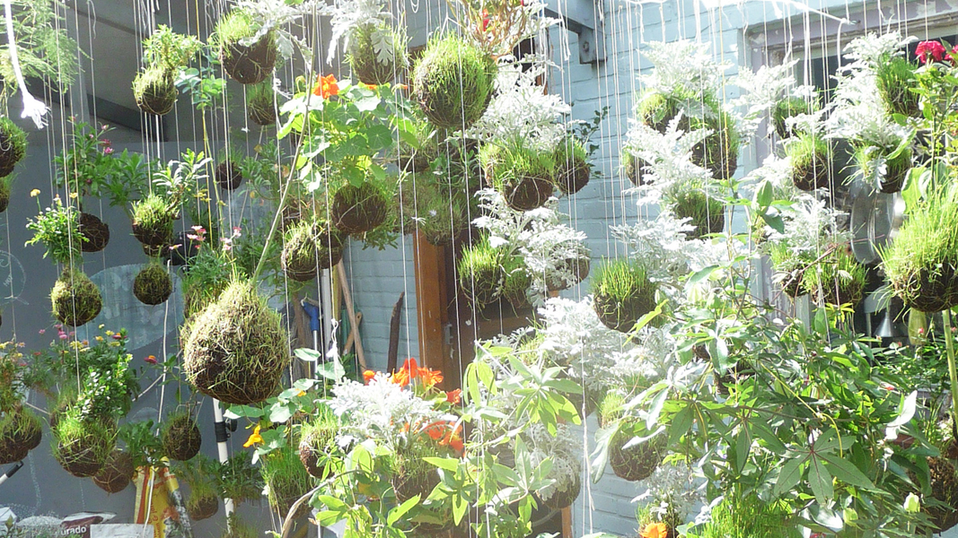 STRING GARDENS fliegende Gärten Lilli Green® Magazin für