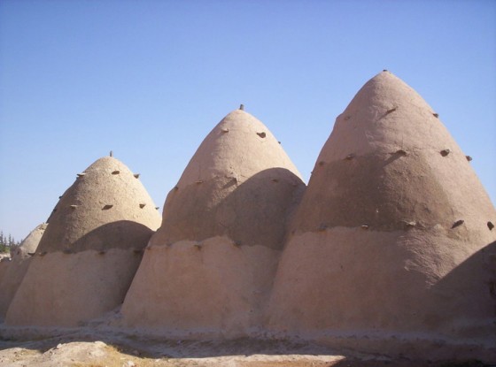 James-Gordon-Syrian-Beehive-Home3