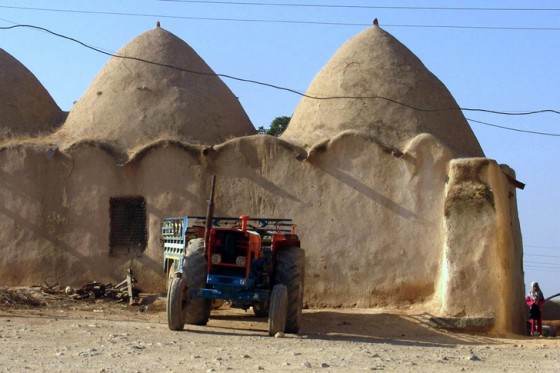 James-Gordon-Syrian-Beehive-Home7
