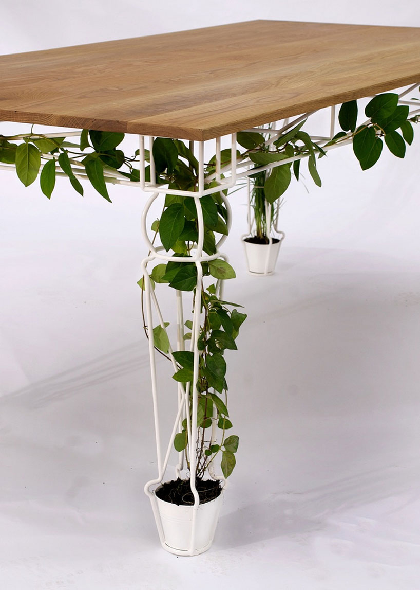 vertical gardening unter dem Tisch - Lilli Green® - Magazin für