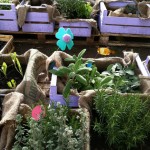 orto-errante-garden-boxes-planted orto-errante-garden-boxes-planted