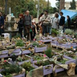 orto-errante-garden-crowd1 orto-errante-garden-crowd1