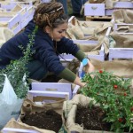 orto-errante-garden-woman-planting orto-errante-garden-woman-planting