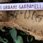 orto-errante-garden-wood-crate-tag orto-errante-garden-wood-crate-tag