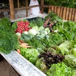 Eco-Truly-Park-Peru-Creative-Community-Conic-Mud-Houses-11