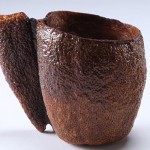 Solskin-Design-Biodegradable-Orange-Peels-Objects-3 Solskin-Design-Biodegradable-Orange-Peels-Objects-3