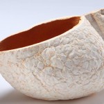 Solskin-Design-Biodegradable-Orange-Peels-Objects-4 Solskin-Design-Biodegradable-Orange-Peels-Objects-4