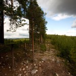 Treehotel-photo-Peter-Lundstrom-23