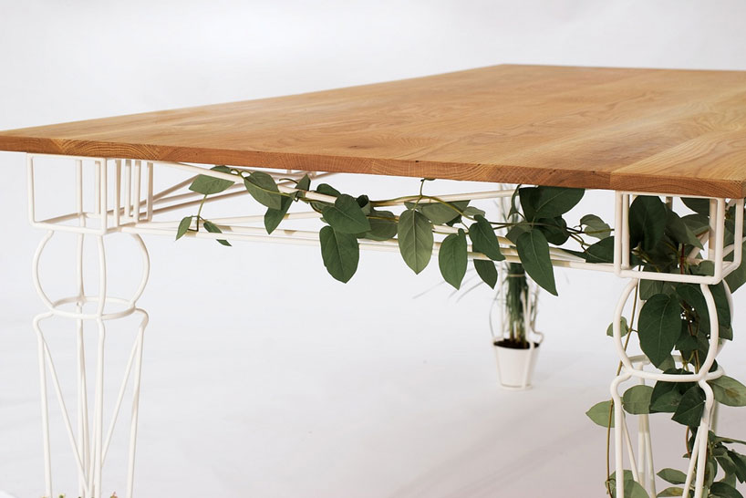 vertical gardening unter dem Tisch – Lilli Green