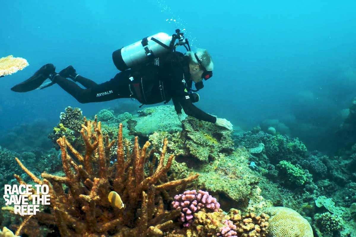 Race to Save the Reef â€“ Dokumentarfilm