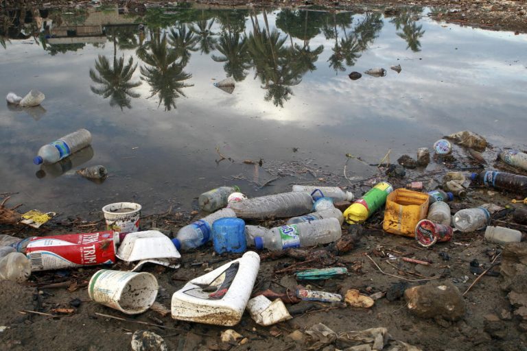 Was Passiert Wenn Klimawandel Nicht Gestoppt Wird