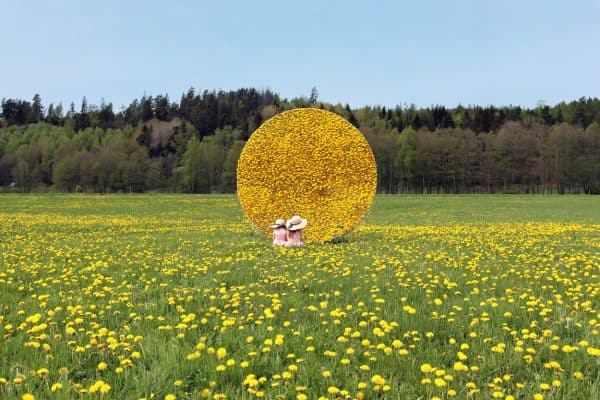 Blumenhütte aus Löwenzahn - Land Art von Ulf Meergrün