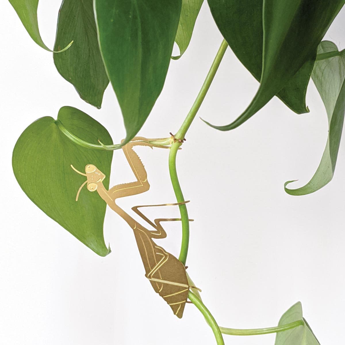 Plant Animal - Pflanzendeko Gottesanbeterin